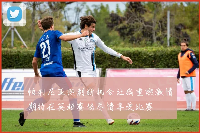 帕利尼亚热刺新机会让我重燃激情期待在英超赛场尽情享受比赛