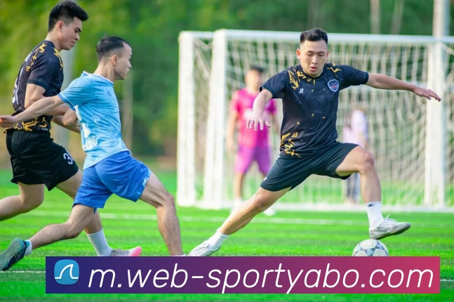 亚博体育平台生态图